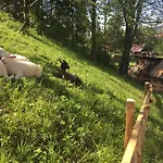 Skerda - * Zuberec
