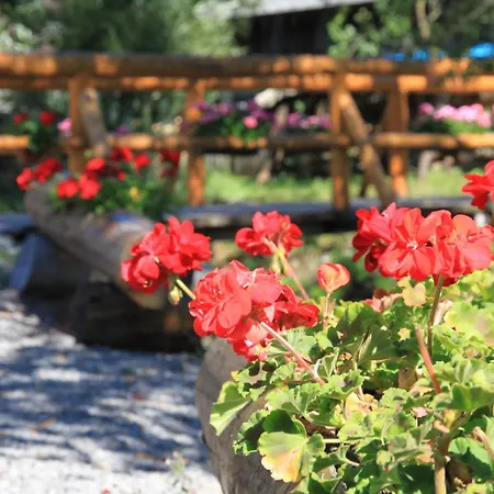 Skerda - 山林小屋