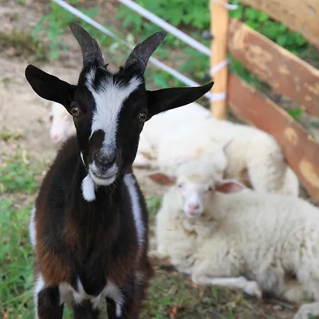 山林小屋 Skerda - 斯祖贝莱克