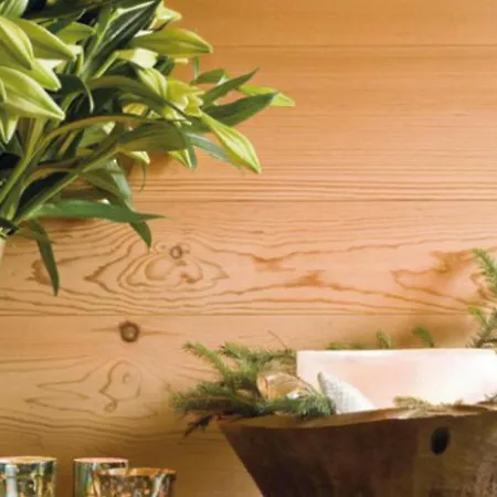 Skerda - 山林小屋